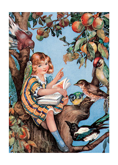 Bird Reading Book