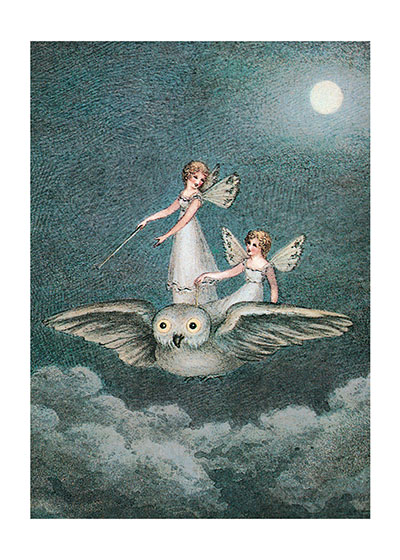 Animals Birds Birthday Fairies Flight Illustrator: Amelia Jane Murray Imprint: Laughing Elephant Moon Owls Wonder & Magic'