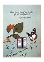 Butterfly and Window (Encouragement Greeting Cards)