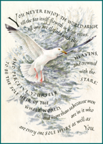 Marie Angel Seagull (Encouragement Greeting Cards)