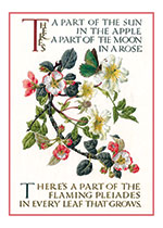 Marie Angel Apple Blossom (Encouragement Art Prints)