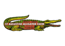 St. Augustine Alligator Farm (Americana Travel Greeting Cards)