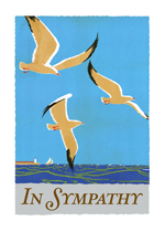 In Sympathy - Soaring Birds (Sympathy Greeting Cards)