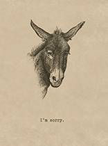 Sorry Donkey (Friendship Greeting Cards)