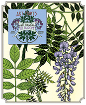 Art Nouveau in Bloom Prints (Everyday Print Sets Art Prints)